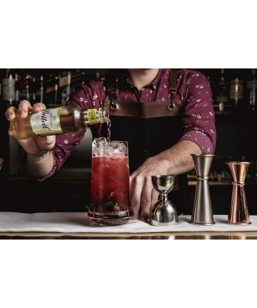  Britvic Britvic Ginger Ale 24 x 200 ml - Buy Online on GoSupps.com