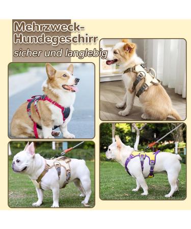 Multi-Purpose Dog Harness & Leash Set | Outbreak-Proof Anti-Train Harness for Small & Medium Dogs - Beige - Buy Online on GoSupps.com