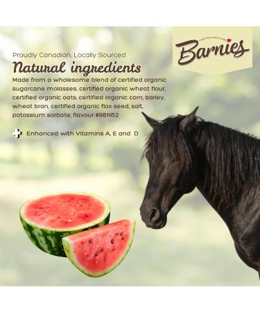 Barnie s All-Natural Horse Treats Vitamin-Enhanced Locally Sourced Canadian-Made Biscuits for Horses | 4 Flavours (Classic Apple Watermelon Peppermint) (580g Watermelon) - Buy Online on GoSupps.com