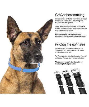 Premium Leather Sniffing Fans Dog Collar - Padded Robust Adjustable for Large Medium and Small Dogs (L - 36-45cm Black) - Buy Online on GoSupps.com