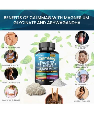 Best Magnesium Glycinate with Ashwagandha and L-Theanine 14 in 1 Supplement 60 Capsules 3 Bottle 1 Count (Pack of 1) - Buy Online on GoSupps.com