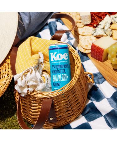 Koe Organic Kombucha Cans Blueberry Ginger | Sparkling Fruit Drink with Probiotics and Vitamin C | 12 oz Pack of 12 - Buy Online on GoSupps.com