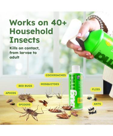 BugMD Pest Control Essential Oil Concentrate 3.7 oz (2-Pack) - Plant-Powered Bug Spray for Flies, Ants, Fleas, Ticks, Roaches, Mosquitoes - Buy Online on GoSupps.com