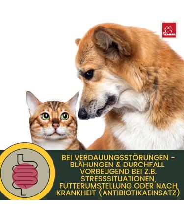 Intestinal Cure Cat Active Herbs Drops I First Aid Digestion - Gastrointestinal Intestinal Flora I Restorative Food - Diarrhea Flatulence I Intestinal Sanitation 30ml - Buy Online on GoSupps.com