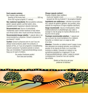Holista Bee Propolis 500 mg 80 Capsules Antioxidant for the Maintenance of Good Health - Buy Online on GoSupps.com