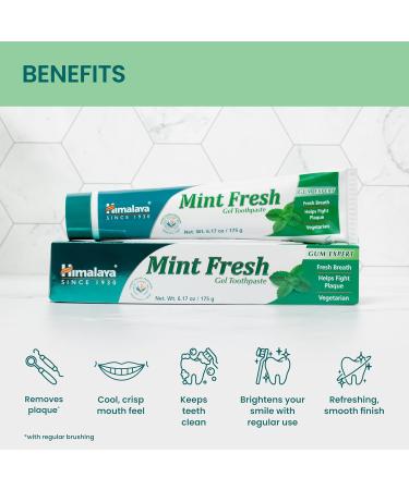 Himalaya Mint Fresh Gel Toothpaste Fluoride Free to Reduce Plaque & Brighten Teeth 6.17 oz 2 Pack 6.17 Ounce (Pack of 2) - Buy Online on GoSupps.com