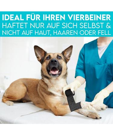 Hund ist K nig Self-Adhesive Elastic Bandage 12x4.7m | Versatile Adhesive Bandage for Humans & Animals | Binding & Fixing Bandage - 10cm x 4.7m - Black (12 Rolls) - Buy Online on GoSupps.com