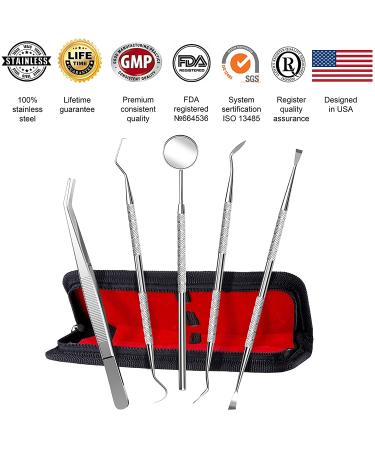 Dental Plaque and Tartar Removal Tool Kit - Professional Stainless Steel Hygiene Instruments for Dental Care - Buy Online on GoSupps.com