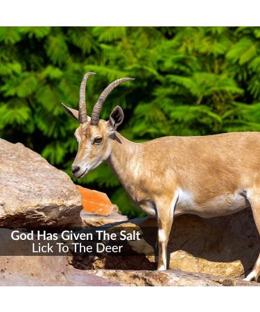 Himalayan Nature 100% Natural Rock Deer Salt Block 2-5 lbs - Animal Licking Mineral Salt Block - Buy Online on GoSupps.com