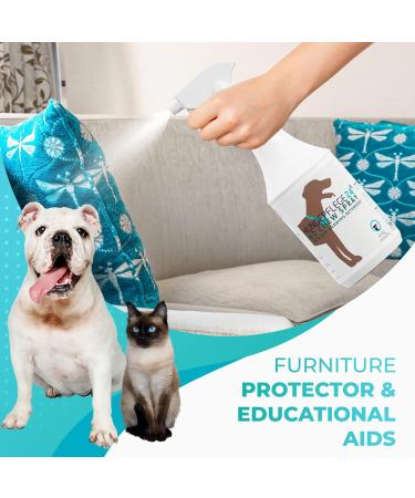 Hundepflege24 Dog Repellent Spray 1L - Prevent Chewing on Furniture, Clothing & Shoes - Bitter Anti Chew Spray for Dogs & Cats - Buy Online on GoSupps.com