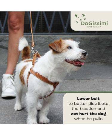 Dogissimi Adjustable Ergonomic Leather Dog Harness for Small & Medium Dogs | Handmade in Italy | Size L (Chest 52-69 cm) - Black - Buy Online on GoSupps.com
