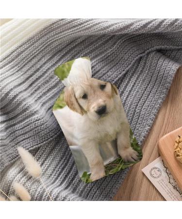 Golden Retriever Hot Water Bottle | Plush Bed Cover Hand Warmer for Adults & Kids - 26.5x15.3cm - Buy Online on GoSupps.com