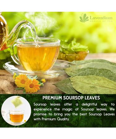 Lavendium 120+ Premium Soursop Graviola Dried Leaves 120-140 Natural Leaves Whole Soursop Leaves Wildcrafted Graviola Soursop Hoja Guanabana Soursop Loose Leaf Herbal Tea No Gluten Vegan Soursop Leaves 120 Bags - Buy Online on GoSupps.com