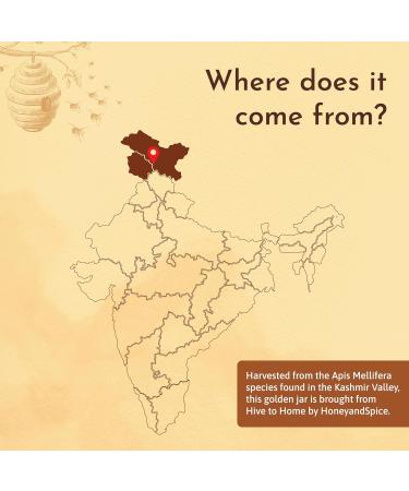 Honey and Spice Kashmiri Himalayan Raw Honey Single Origin Unblended Premium Indian Honey from the Valleys of Kashmir with No Added Sugar 500 Gm - Buy Online on GoSupps.com