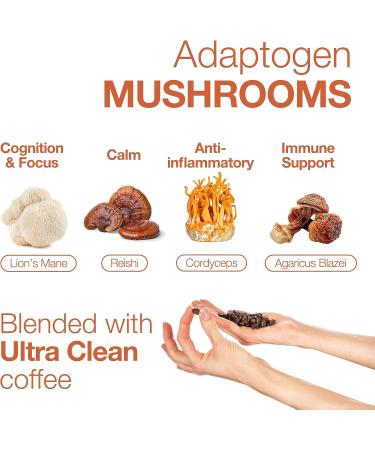 Lean Caffeine Mushroom Coffee Ground 412g | Mushroom Extract Powder Blend | Mycotoxin Free Lions Mane Reishi Cordyceps Agaricus Blazei | Bulletproof Coffee - Pack of 1 - Buy Online on GoSupps.com