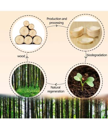 AIDIRui 50x Finger Food - Bowls Boat Biodegradable Wood 11 cm x 6.5 cm - Buy Online on GoSupps.com