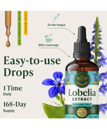 HERBAMAMA Lobelia Tincture - Vegan Lobelia Leaf Extract for Lung Cleanse & Detox - Respiratory Lung Support Drops - Non-GMO, Alcohol & Sugar-Free Respiratory Support Supplement 4 Fl Oz (Pack of 1) - Buy Online on GoSupps.com
