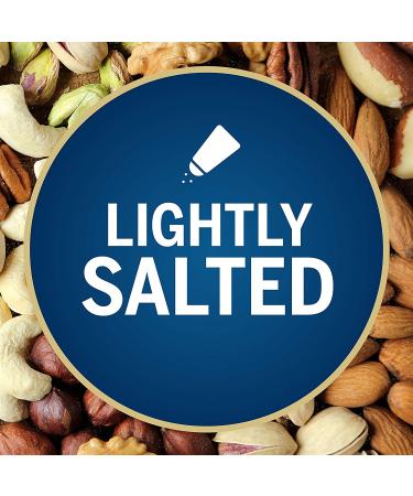 PLANTERS Deluxe Lightly Salted Mixed Nuts - 15.25 oz Resealable Container | Reduced Sodium, Vegan, Kosher Snacks - Buy Online on GoSupps.com