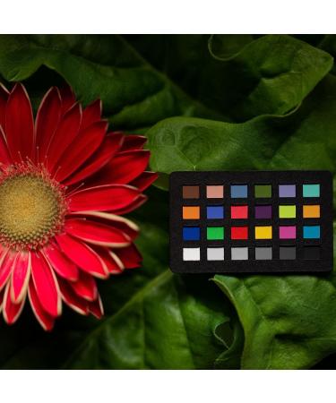 Calibrite ColorChecker Classic Nano: Professional Color Calibration Tool - Buy Online on GoSupps.com