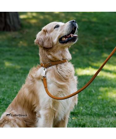 Collardirect Handmade Round Leather Dog Collar - Soft Padded Adjustable for Small & Big Dogs & Cats - 40-45 cm - Available in Black Pink Red Purple Blue and Brown - Buy Online on GoSupps.com