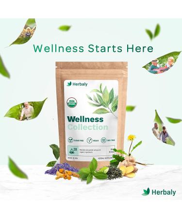 Organic Herbal Ginger Tea 70g - Herbaly Wellness Collection - 28 Count Bag - Buy Online on GoSupps.com