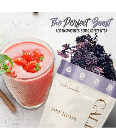 Calisla - Purple Wildcrafted Sea Moss Raw Gel Ethically Harvested From Canadian Atlantic Ocean 2 Month Supply of SeaMoss Raw Gluten-Free Non-GMO Vegan Nutrient-Rich Irish SeaMoss 50g 1.76 Oz - Buy Online on GoSupps.com