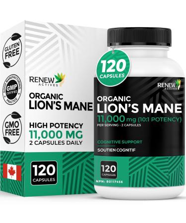 Renew Actives Premium Organic Lion's Mane Mushroom 1100MG per 2 Capsules - Supports Brain Function Memory Focus Stress Relief & Immune Health Non-GMO Vegan - Made in Canada - 120 Capsules