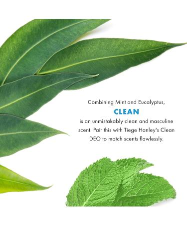 Tiege Hanley Daily Body Wash for Men - Sulfate Free Cleansing Formula - Mint and Eucalyptus Scent - 10 oz - Buy Online on GoSupps.com