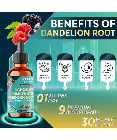Tenmido 9in1 Dandelion Root Extract - Herbal Liquid Tincture with Milk Thistle Burdock Root Celery Seed Artichoke Cranberry Turmeric Horsetail and Ginger - 30ml 1 Fl Oz - Buy Online on GoSupps.com