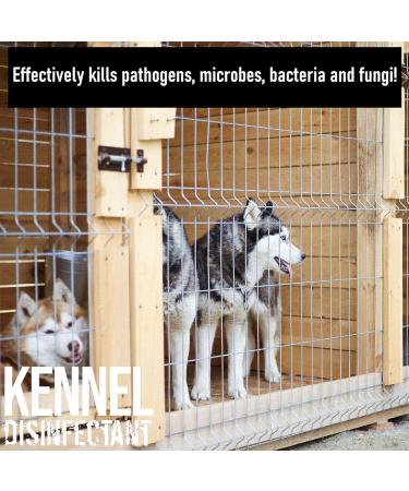 ULTIMA-PLUS XP Kennel Kleen - Disinfectant Cleaner Sanitiser Deodoriser Concentrated For use in Kennels Catteries Hatches and More! Lavender Fragrance 5 L 5 count (Pack of 1) - Buy Online on GoSupps.com