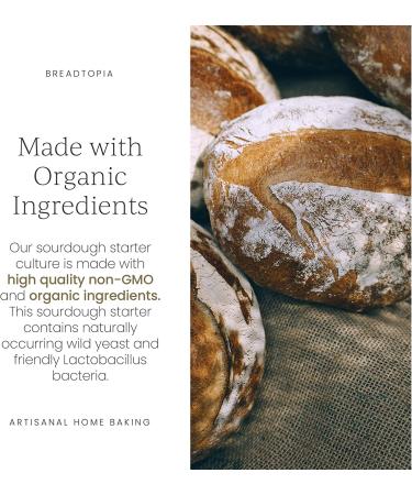 Breadtopia Sourdough Starter (Dry) - Organic & Non-GMO | Easy Instructions | Homemade Sourdough Bread - Buy Online on GoSupps.com