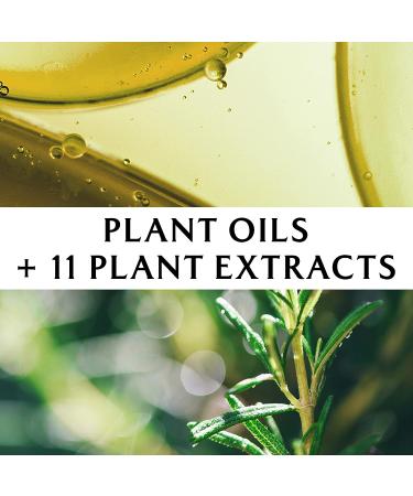 LA'DOR Dermatical Hair-Loss Shampoo - 17.9 fl.oz. Salicylic Acid & Dexpanthenol for Normal to Dry Hair - Buy Online on GoSupps.com