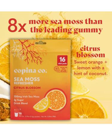Organic Irish Sea Moss Powder - 200mg Packets - Citrus Blossom Flaored Electrolyte-Rich Coconut Water for Natural Hydration - 16 Stick Packs Citrus Blossom 3.04 Ounce (Pack of 1) - Buy Online on GoSupps.com