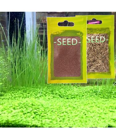Live Aquarium Plant Seeds Combo,Fresh Water Grass Plants Mini Leaf & Longhair Grass Small Pearl for Fish Tank Terrarium Aquatic Dwarf Carpet Decor Decoration