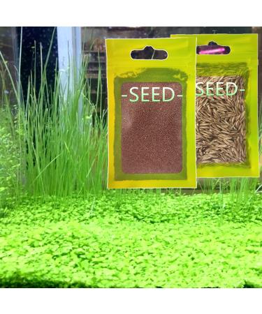 Live Aquarium Plant Seeds Combo,Fresh Water Grass Plants Mini Leaf & Longhair Grass Small Pearl for Fish Tank Terrarium Aquatic Dwarf Carpet Decor Decoration