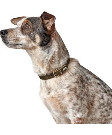 HUNTER AALBORG Leather Dog Collar - Simple Robust & Comfortable - Olive - Size 32 (XS) | International Shipping - Buy Online on GoSupps.com