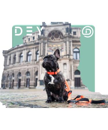Dey Premium Dog Leash - 2m Air Mesh 3-Way Adjustable for All Dog Sizes Multiple Colors Ideal for Puppies & Cats - Blue XS/S - Buy Online on GoSupps.com
