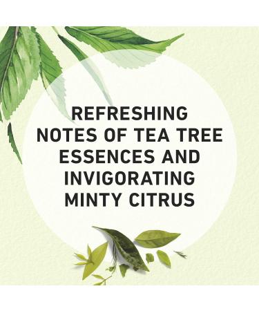 Herbal Essences Clarifying Shampoo with Tea Tree - 29.2 Fl Oz | Best International Shipping Available - Buy Online on GoSupps.com