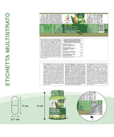 Colours of Life Green Tea EGCG - Suppl ment de th vert - pour l' quilibre du poids corporel et le drainage des fluides - sans gluten et v g talien 60 g lules v g tariennes - Buy Online on GoSupps.com
