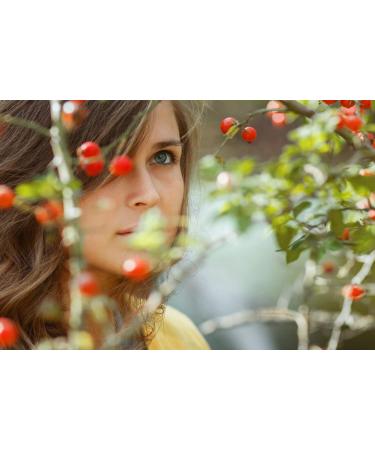 Olivia Care Rosehip Seed Oil Serum - Natural Moisturizer for Face & Body | Anti-Aging Treats Wrinkles Acne Scars Dark Circles - Vitamins E C A & Omega 6 - 1 OZ - Buy Online on GoSupps.com