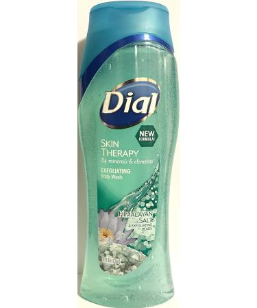 Dial Exfoliating Body Wash with Himalayan Salt & Exfoliating Beads - Skin Therapy - 16 FL OZ Per Bottle (Pack of 2) - Buy Online on GoSupps.com
