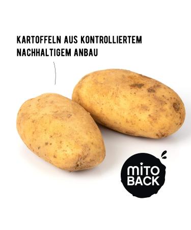 Mitoback 100% Potato Fibers | Premium Quality German Potato Fiber Flour for Baking | Low Carb Keto Vegan Gluten-Free (3 x 250g) - Buy Online on GoSupps.com