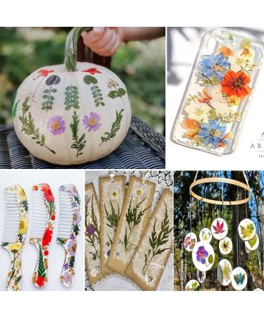 141PCS Real Nature Dried Pressed Flowers for Resin Mold - DIY Jewelry, Nail Art & Scrapbook Decor - Buy Online on GoSupps.com