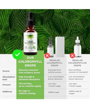 High Strength 6000mg Chlorophyll Liquid Drops - 100ml (100 Doses) - Water Soluble Green Superfood - Buy Online on GoSupps.com