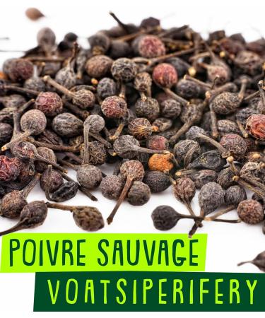 Replant Wild Pepper from Madagascar Voatsiperifery 100g - Grand Cru Black & Red Peppercorns in Freshzip Bag - Premium Quality 2023 - Buy Online on GoSupps.com