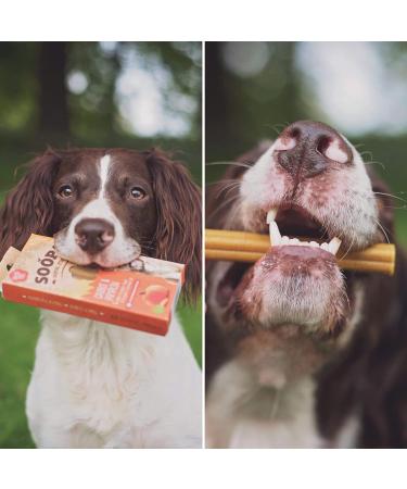 Soopa Pumpkin and Carrot Dental Sticks Dog Treat 100 g - Buy Online on GoSupps.com