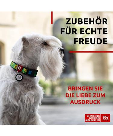 Buy Waudog Adjustable Nylon Dog Collar | Big Medium & Small Dogs | Eco-Friendly Avocado Design 24-40 cm Length - Buy Online on GoSupps.com