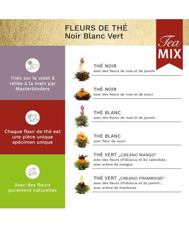 Creano Coffret d'Or Fleurs de Th Mix 6 pcs + 1 Teelini Bonus (Portion de Tasse) Th i re en Verre 500ml sans goutte Th Blanc Vert & Noir Id e Cadeau Chic - Buy Online on GoSupps.com