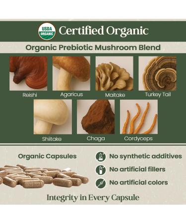 Vital Planet - Organic Flora Probiotics for Men Men's Daily Shelf Stable Probiotic 30 Billion CFU 60 Diverse Strains Prebiotic Organic Mushroom Blend Immune and Digestive Health 30 Capsules - Buy Online on GoSupps.com