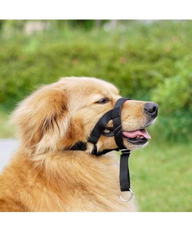 ILEPARK Dog Halver with Seat Belt - Adjustable Head Dishes to Stop Pulling - Easy Control for Dogs (Medium Green) - International Shipping - Buy Online on GoSupps.com